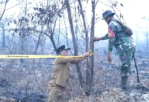 Bupati Banyuasin-Danrem 044/Gapo Segel 2 Lahan Kebakaran