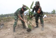Usai Upacara Pembukaan, Satgas TMMD Ke-130 Bersama Bupati dan Unsur Terkait Segera Lakukan Penanaman Pohon